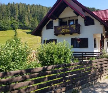 Putna House | Pensiunea Daria Putna