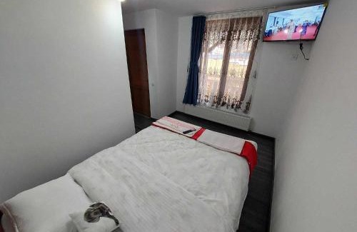 Albac House | Pensiunea Eugenia