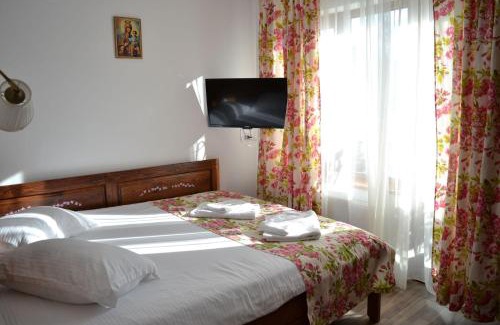 Curtea De Arges House | Pensiunea Geostar