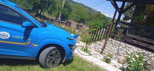 Bala House | Pensiunea Gradinarilor cu ciubăr și stație de încărcare electrică auto