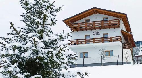 Borsa House | PENSIUNEA HANTIG TURA