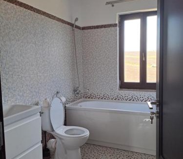 Zorleni House | Pensiunea La Conac
