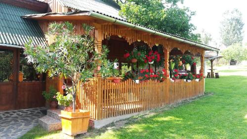 Rohia House | Pensiunea Maria
