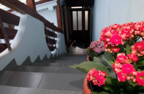 Tulcea House | Pensiunea Melisa