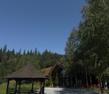Dorna Candrenilor House | Pensiunea Poiana Izvoarelor