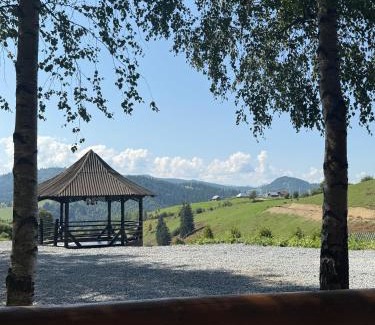 Dorna Candrenilor House | Pensiunea Poiana Izvoarelor