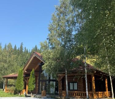 Dorna Candrenilor House | Pensiunea Poiana Izvoarelor