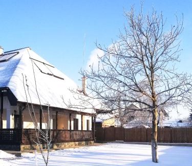 Mitocu Dragomirnei House | Pensiunea Tara Fagilor