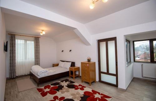 Tirgu Ocna Villa | Pensiunea Teonaa
