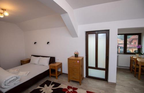 Tirgu Ocna Villa | Pensiunea Teonaa