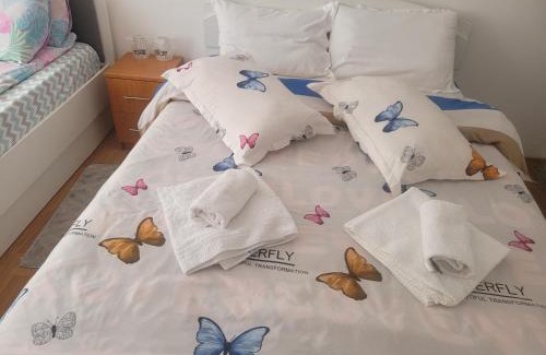 Tirgu Ocna House | Pensiunea Trei Brazi