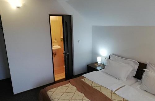 Campulung Moldovenesc House | Pensiunea Veronica