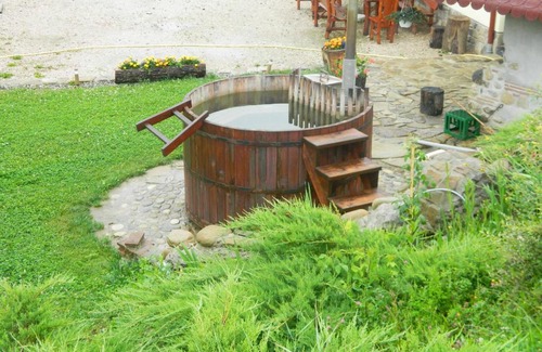 Saschiz House | Pensiunea Violeta