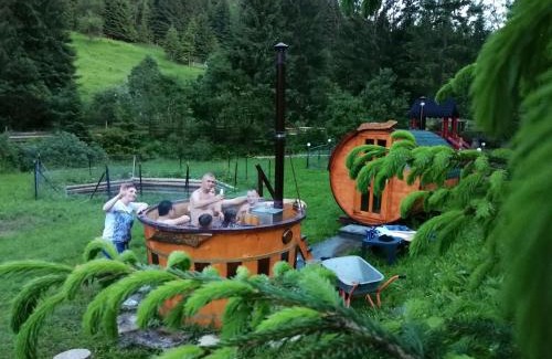 Vatra Dornei Villa | Pensiunea Waldhaus - Vatra Dornei