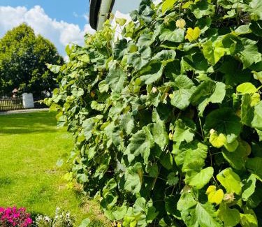 Borne Sulinowo Apartment | Pensjonat Eden Apartament 5