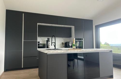 Fahrendorf Apartment | Penthaus am Südhang