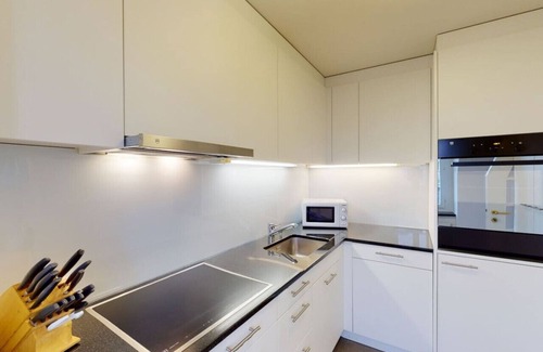 Muhlebach Apartment | Penthouse flat in the city center/near lake (SF18)