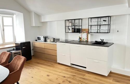 Krems an der Donau Apartment | Penthouse MaxFux direkt in der Fußgängerzone 130m2