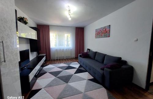 Suceava Apartment | Penty Apartament