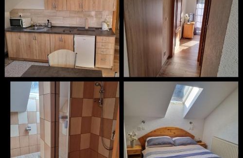 Karlovy Vary Apartment | Penzion Šárka