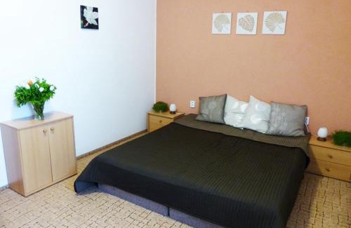 Domanin Hotel | Penzion Amálka