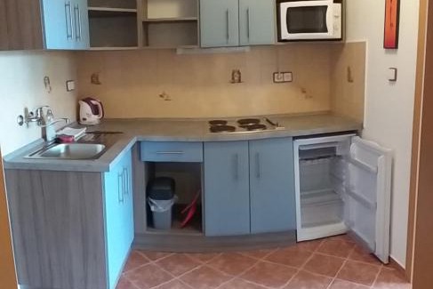 Horni Plana House | Penzion Panter