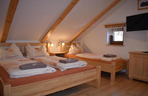 Zelezna Ruda House | Penzion U Jelena