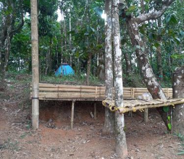 Mananthavady Villa | Pepper Mist Wayanad Homestay