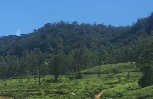 Nuwara Eliya House | Perera Homestay