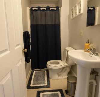 Morgantown Apartment | Perfect for Groups! 3BR-3BA Near WVU & Downtown