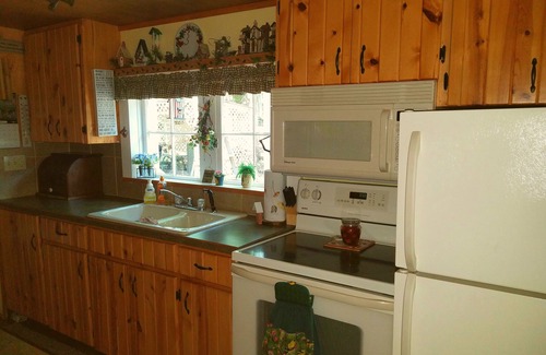 Fountain Cabin | Perfect getaway for couples ! close to Ludington or Baldwin.nn