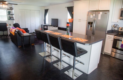 Central House | Perfect house for Clemson/SWU activities like Clemson football and disc golf!
