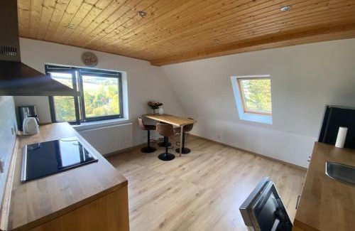 Sayda Apartment | Perfekte Auszeit im Erzgebirge