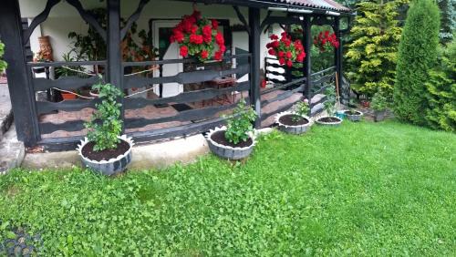 Neagra Sarului House | PERLA CĂLIMANILOR