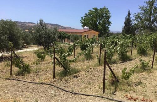 Pano Arodhes House | Pervolaris Cottages 1