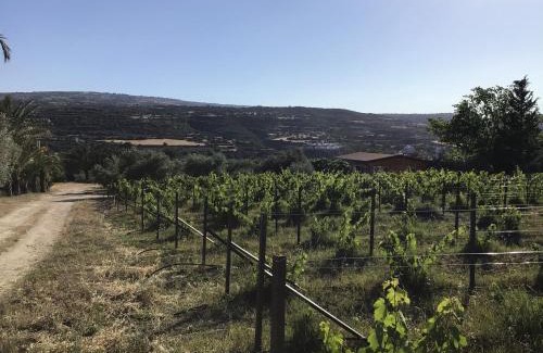Pano Arodhes House | Pervolaris Cottages 1