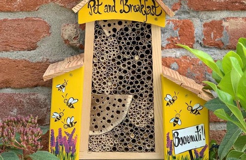 Cardona Apartment | Pet and Breakfast Pet Friendly Country House