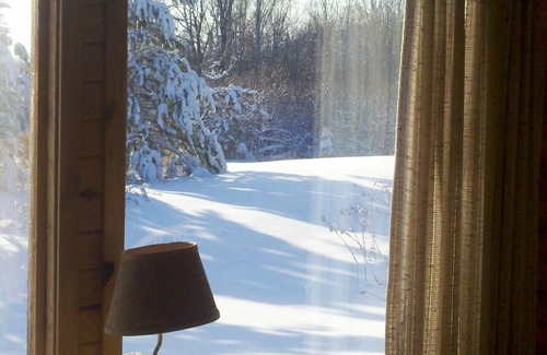 Finlayson Cabin | Pet freindly cabin in the meadows on the edge of the forest with big windows