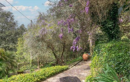 Castelfranco di Sopra House | Pet Friendly Home In Castelfranco Piandiscó