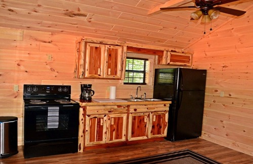 Buchanan Cabin | PET FRIENDLY 🐾 Cabin#1 Swan Bay Cabins & RV Park, Paris Tn, Kentucky Lake