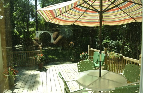 Kings Terrace House | Pet friendly Cottage with fenced yard!