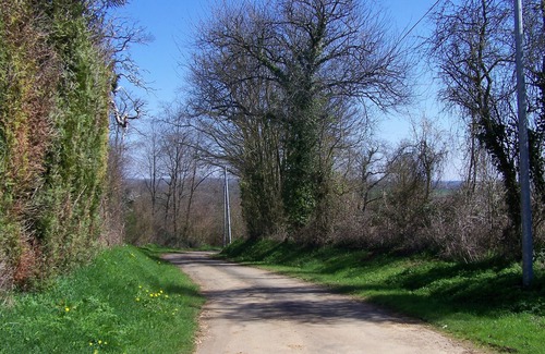 Saint-Coutant Cottage | Pet friendly-family friendly two bedroomed rural Gite in a quiet hamlet