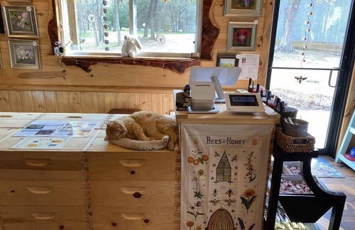 Navasota RV Rental | Pet-Friendly Glamping on a Honey Farm