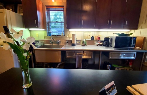 Springville Cabin | Pet-friendly Magnolia + Fishing & Trails