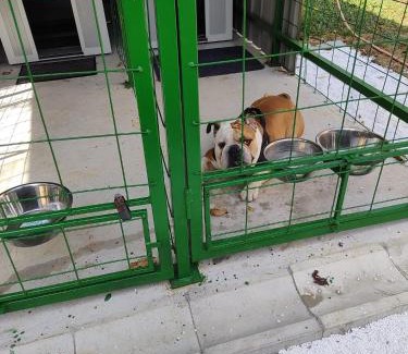 Teslic Apartment | Pet oaza Banja Vrućica