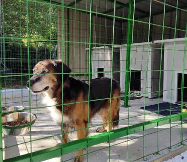 Teslic Apartment | Pet oaza Banja Vrućica