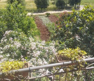 Lenola Bed & Breakfast | Petalo Rosso b&b