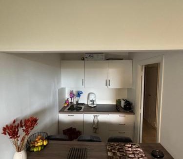 La Rousse Apartment | Petit Nid - Monaco