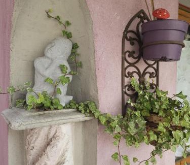 Cronenbourg Est Apartment | Petit Paradis Croneuva