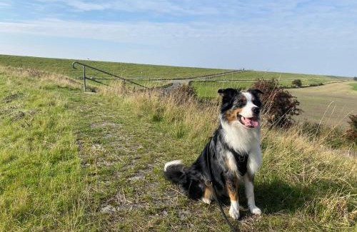 Petkum Apartment | Petkumer Deichkoje